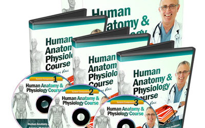 Human Anatomy & Physiology Course