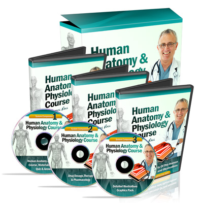 Human Anatomy & Physiology Course